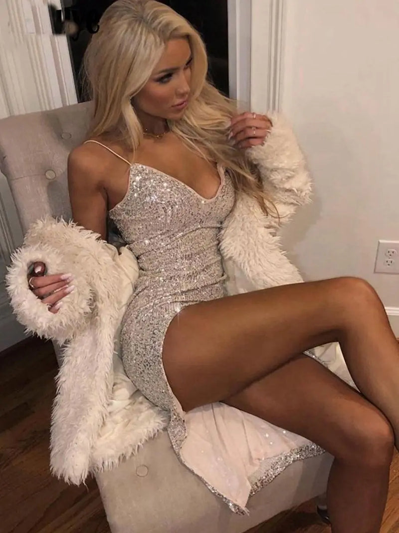 Silver Sequin Dress